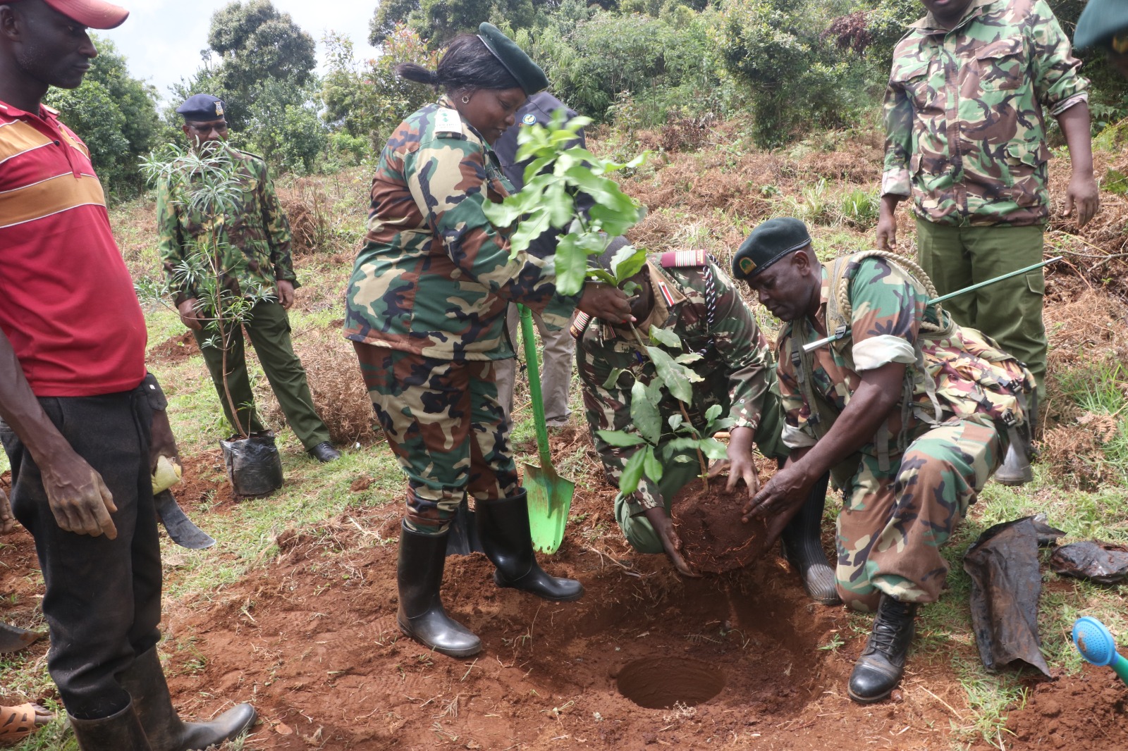 Over 17,000 tree seedlings planted in Iragi Forest Embu County to combat climate change